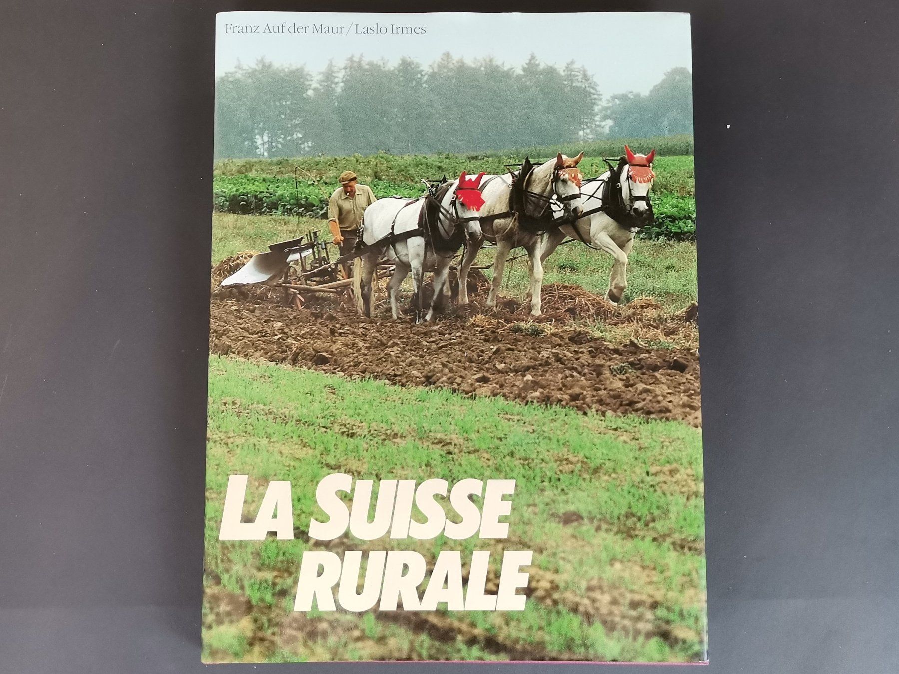 Libri: BUCH - La Suisse Rurale – Usato da Schaffhausen venduto da Restwert_SH