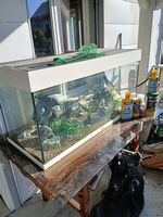 Aquarium 180 mit viel Zubehör 