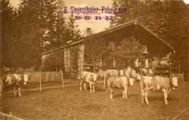 Berner Oberland  BE - Alpwirtschaft  E. Siegenthaler um 1912