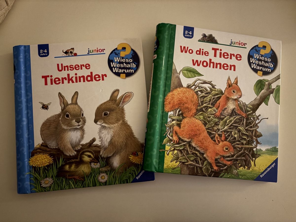 Bücher: Kinderbücher 2-4 Jahren – Gebraucht aus Büron von Flor2009