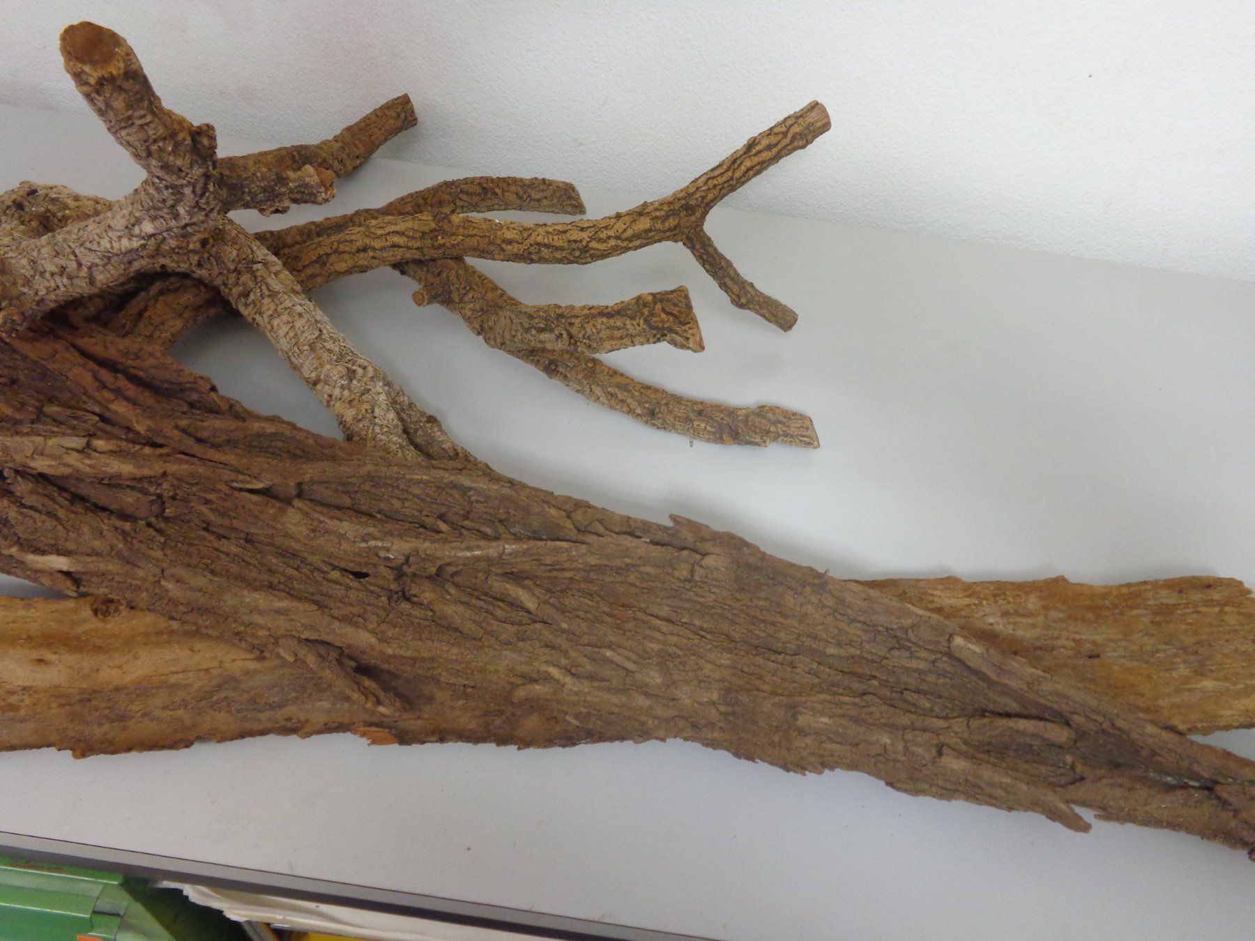 Piatti di portata: Korkäste,Korkplatten L=1.40m B= 17 cm – Usato da Liestal venduto da Gecko16 2