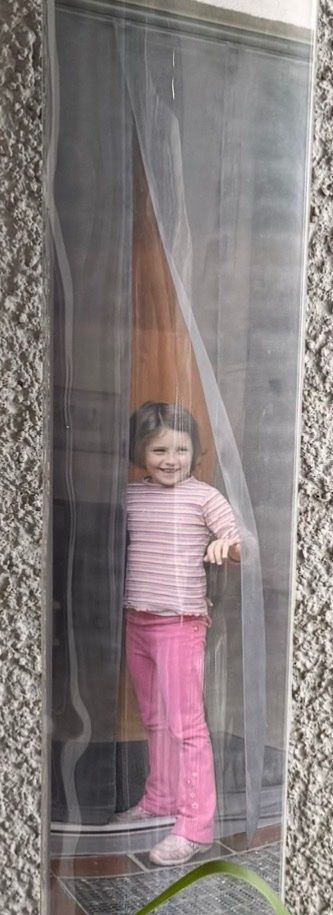 Tende: Moskitonetz Türvorhang 90 x 200cm grau – Nuovo e nell'imballaggio originale da Baar venduto da 001loulou 1