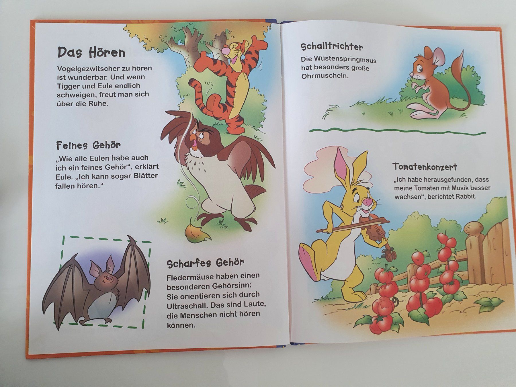 Libri: Winnie Puuh - Entdecke die 5 Sinne / Disney – Usato da Oberdorf BL venduto da BaldenEagle 2
