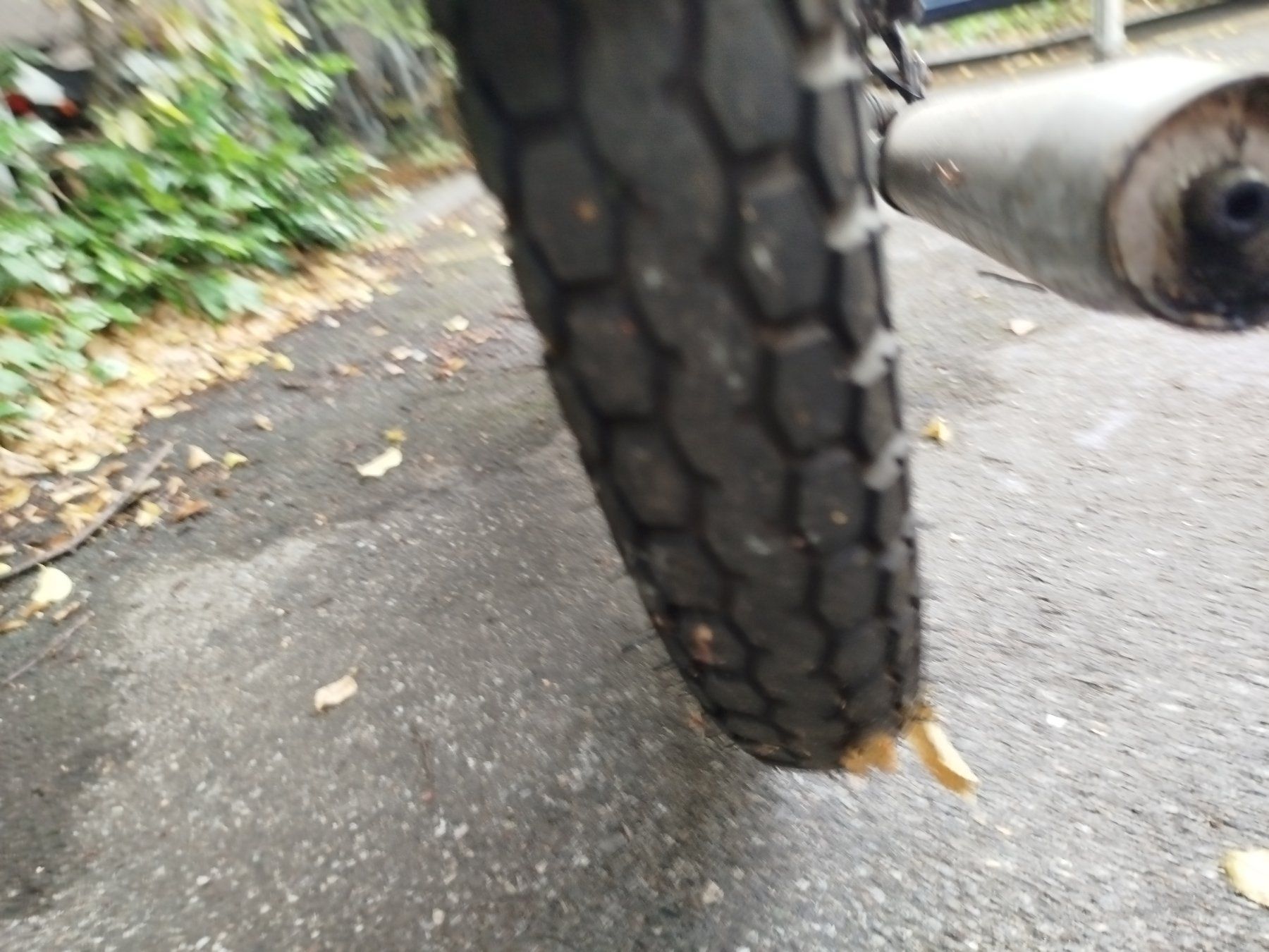 DKW Ciclomotori: Mofa DKW 623 CH Cross – Usato da Zürich venduto da Zebragaul 8