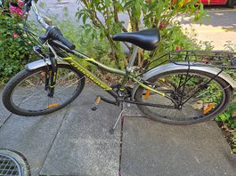 ZWEI fahrtüchtige Raptor Crosswave für Zwillinge 24 zoll