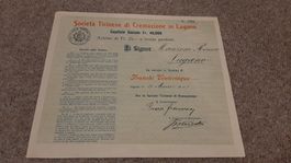 Aktie Società  Ticinese di Cremazione in Lugano. 1907