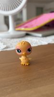 Littlest pet shop baby chick #13