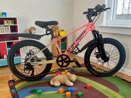 20 Zoll Shimano Parts Kinderfahrrad Velöli ROSA NEU
