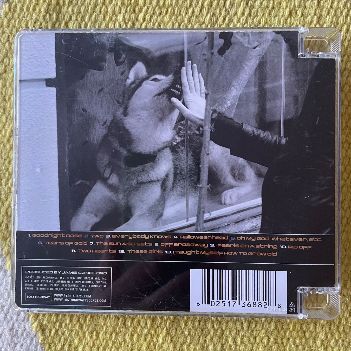 CD: RYAN ADAMS-EASY TIGER – Usato da Rorschacherberg venduto da CD-Roli 1