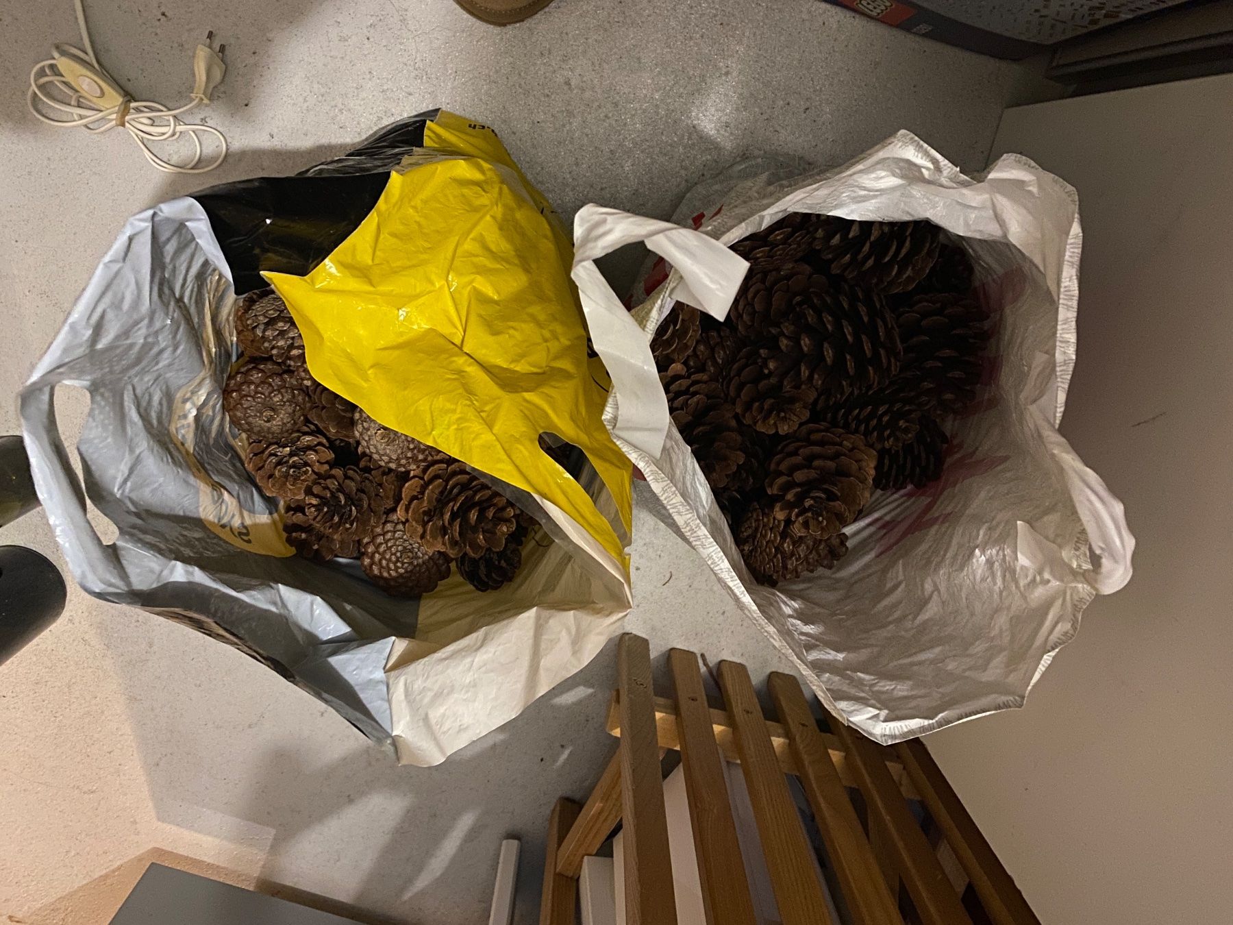 Tutte le decorazioni: Tannzapfen ca. 3.9 Kg – Usato da Münsingen venduto da _cocos_ 1