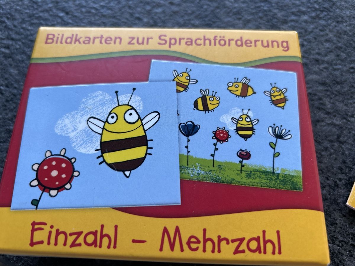 Giochi: Spiel Einzahl-Mehrzahl – Nuovo (secondo la descrizione) da Wichtrach venduto da henzmann1