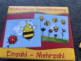 Spiel Einzahl-Mehrzahl