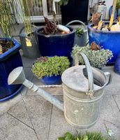 Antike Zink Giesskanne 14 Liter / 50er-Jahre