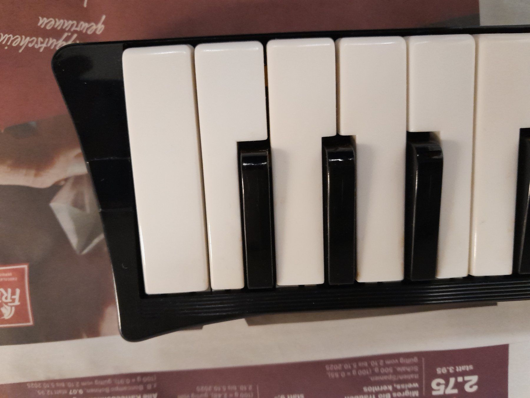 Hohner Musikinstrumente: Hohner Melodica – Gebraucht aus Rüti ZH von Alemanni 3