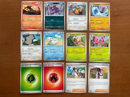 Pokemon 12er Karten Set (Versand gratis)