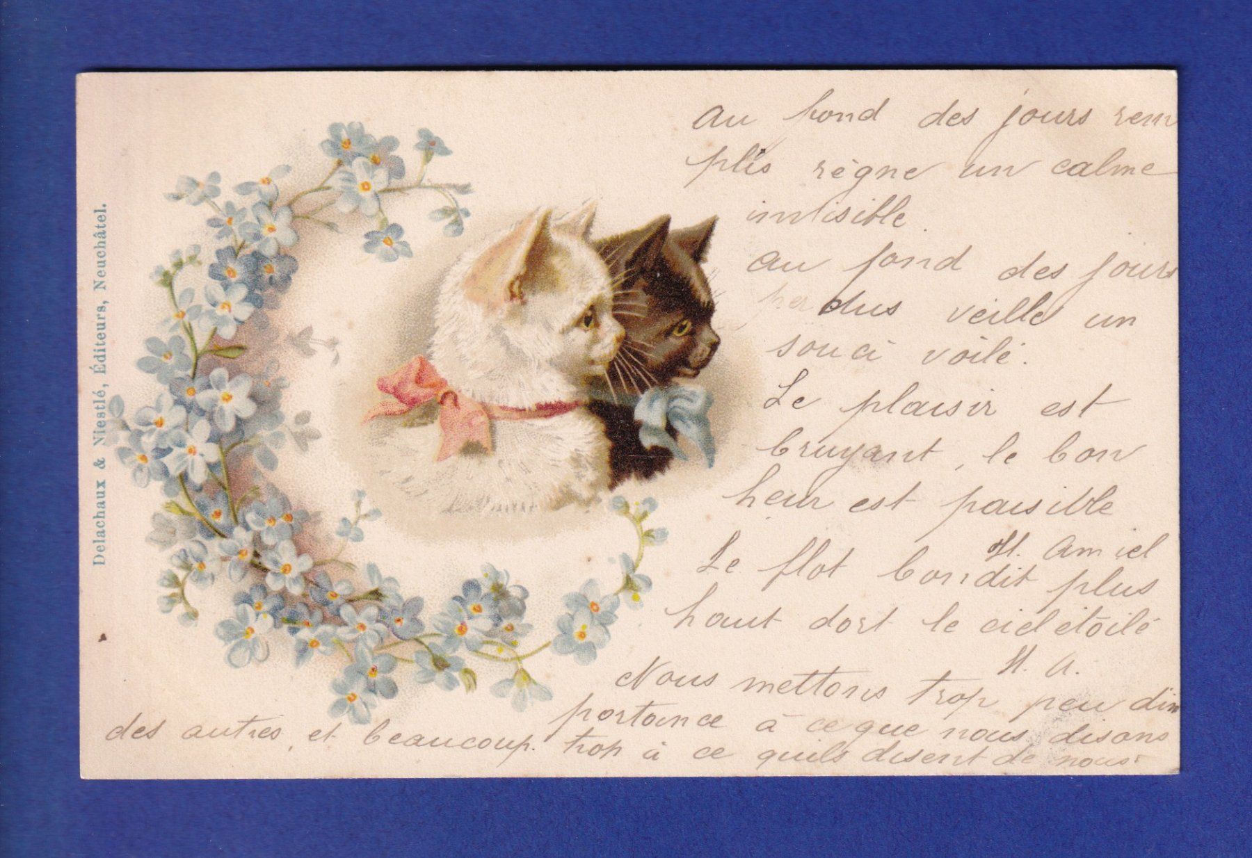 Ansichtskarten: CHAT - 2 chats et fleurs – Gebraucht aus Pully von nicecards-shop