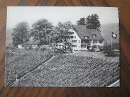 HALBINSEL AU - DER NEUE LANDGASTHOF AM ZÜRICHSEE