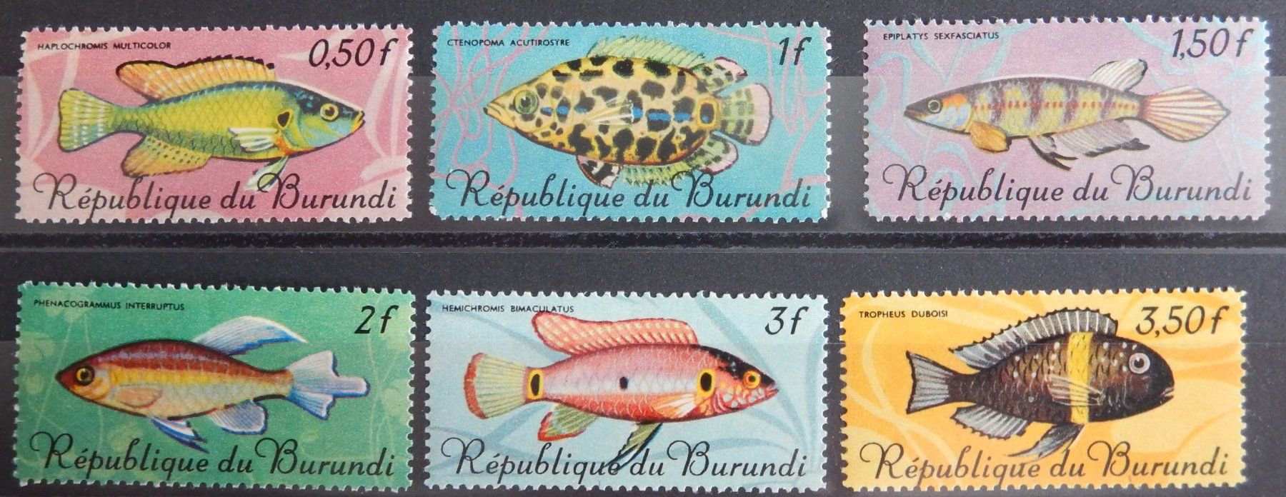 Tutti i francobolli: Burundi Lot mit Fischen ** – Usato da Zürich venduto da Muehlekauf