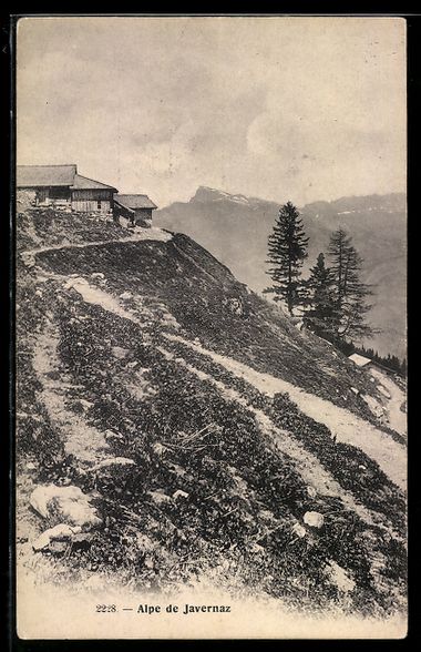 Cartoline postali: AK Bex, Alpe de Javernaz – Usato da Berlin venduto da bartko-reher