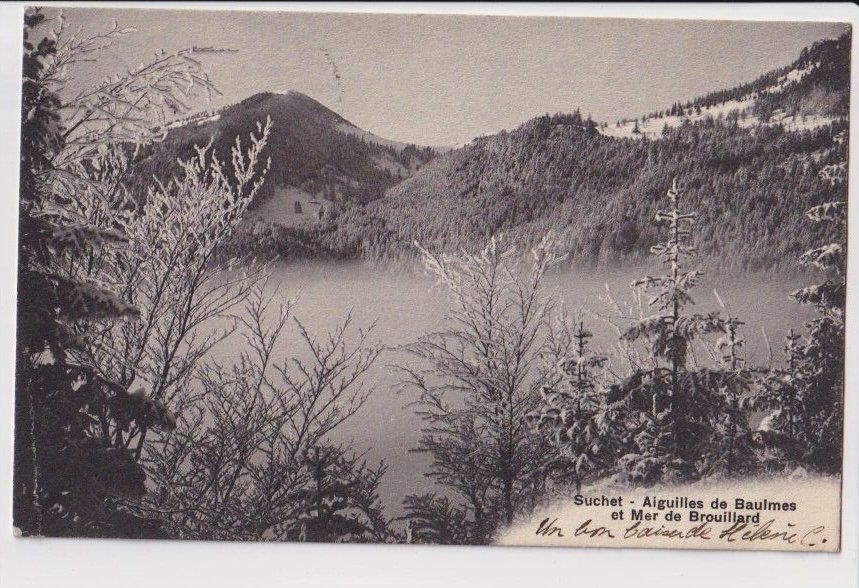 Cartoline postali: Suchet – Aiguilles de Baulmes, 1908 – Usato da Fribourg venduto da AK_Fribourg