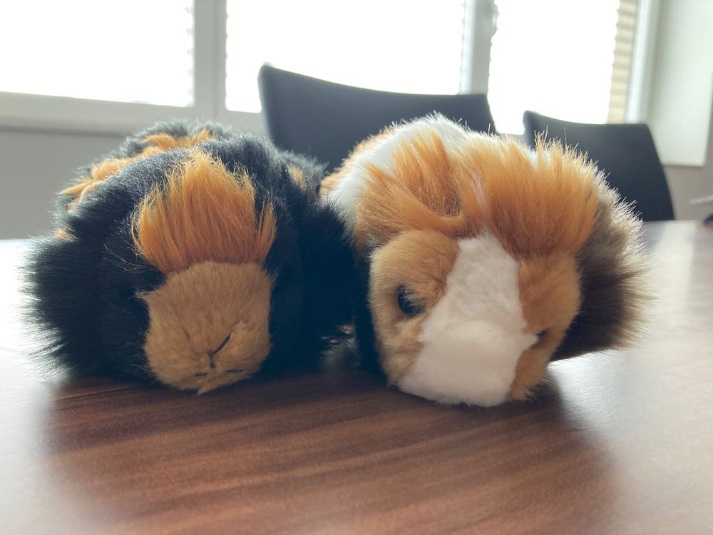 Kuscheliges Haustierbett Igel-Matte - Weiches Schlafsofa Für Kleine Tiere