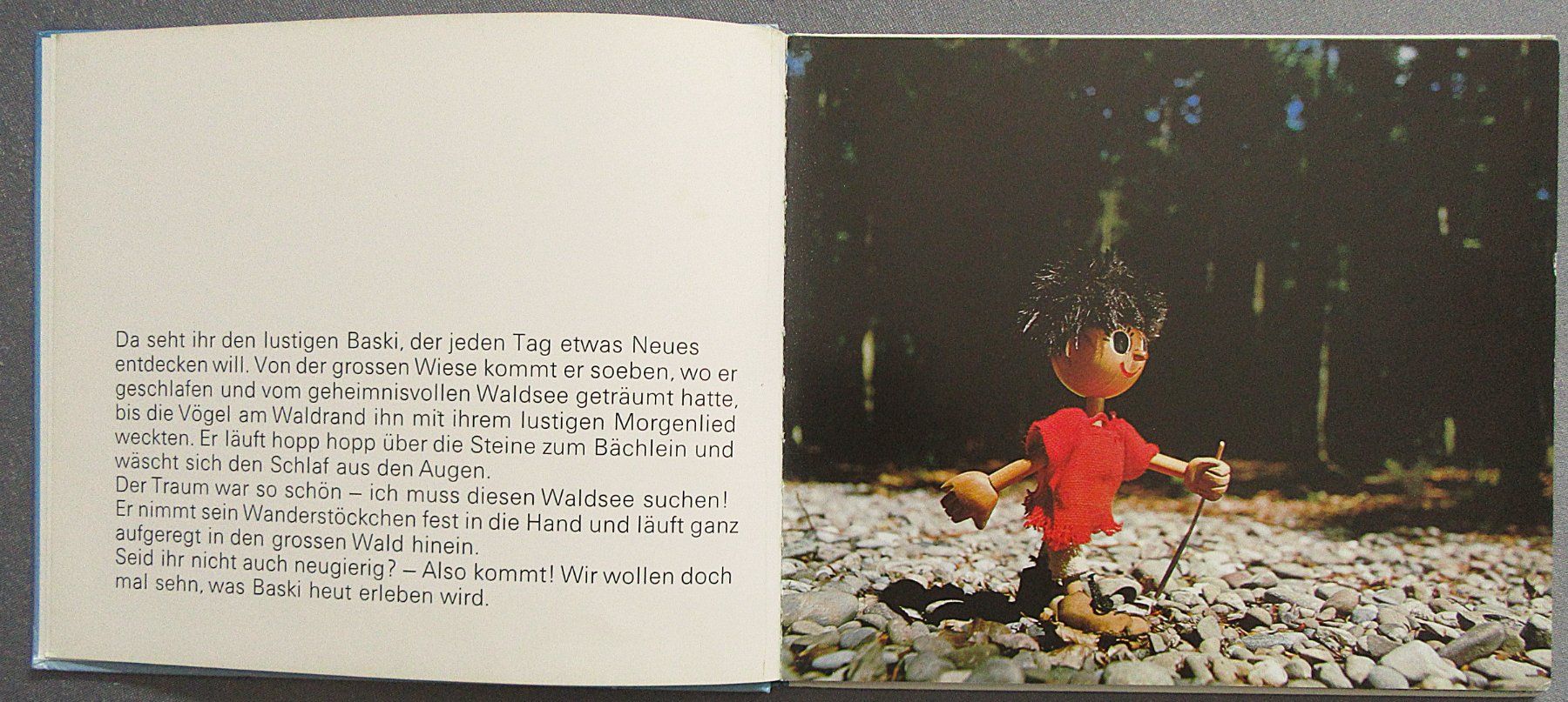 Libri: Baski - Baski's Flug mit der Wildente – Usato da Auenstein venduto da Padabimbim 1