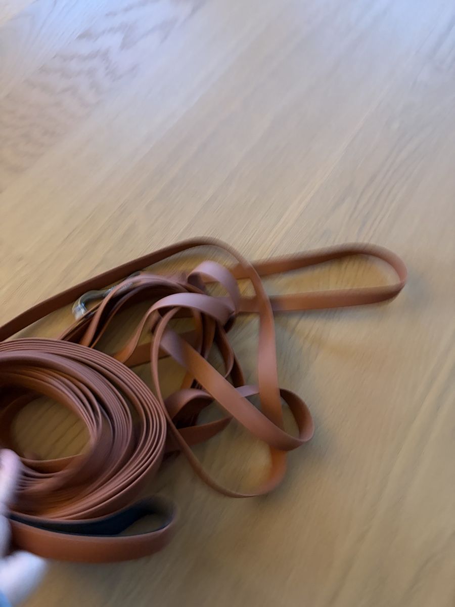 Leine & Halsband: Schleppleine – Neu (gemäss Beschreibung) aus Wangen b. Olten von oli_f9b8 2