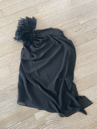 Elegant Black top with Feather Detail