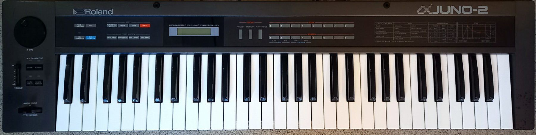 Roland Strumenti musicali: Roland Alpha Juno 2 – Usato da Luzern venduto da garlicia