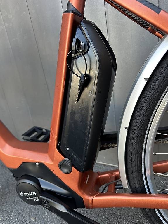 Vélos: E-bike donna cube elegance 28 bosch  – D'occasion à Quartino par DiloUsato 8