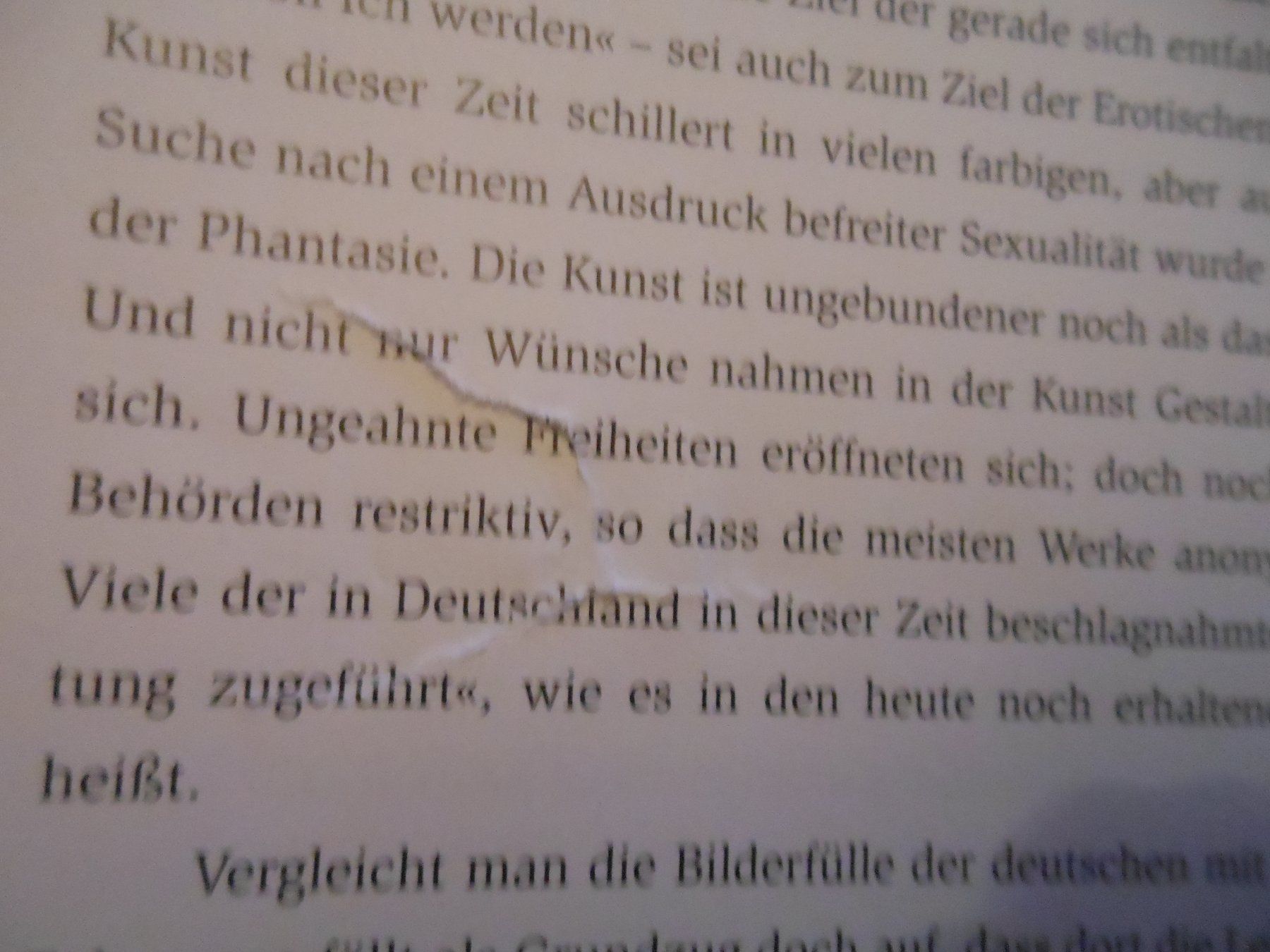 Libri: Buch Die Lust in der Kunst – Nuovo (secondo la descrizione) da Füllinsdorf venduto da Cibum 5