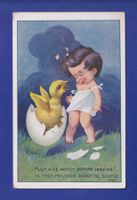 ENFANT - Petite fille surprise par l'éclosion d'un poussin -