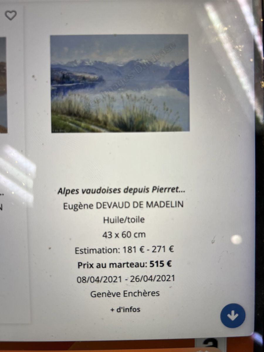 Dipinti: Tableau Eugène Devaud de Madelin(1906-1992)huile signée – Usato da Genève venduto da Leboucheoreilles 7