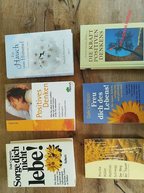 Livres: Diverse Ratgeber / Bücher – D'occasion à Chur par bia_9gy6