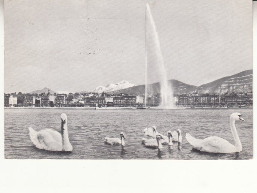 Cartoline postali: Genève ca. 1960 – Usato da Bürglen TG venduto da StampGraf