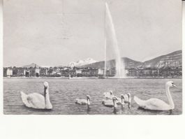 Genève ca. 1960