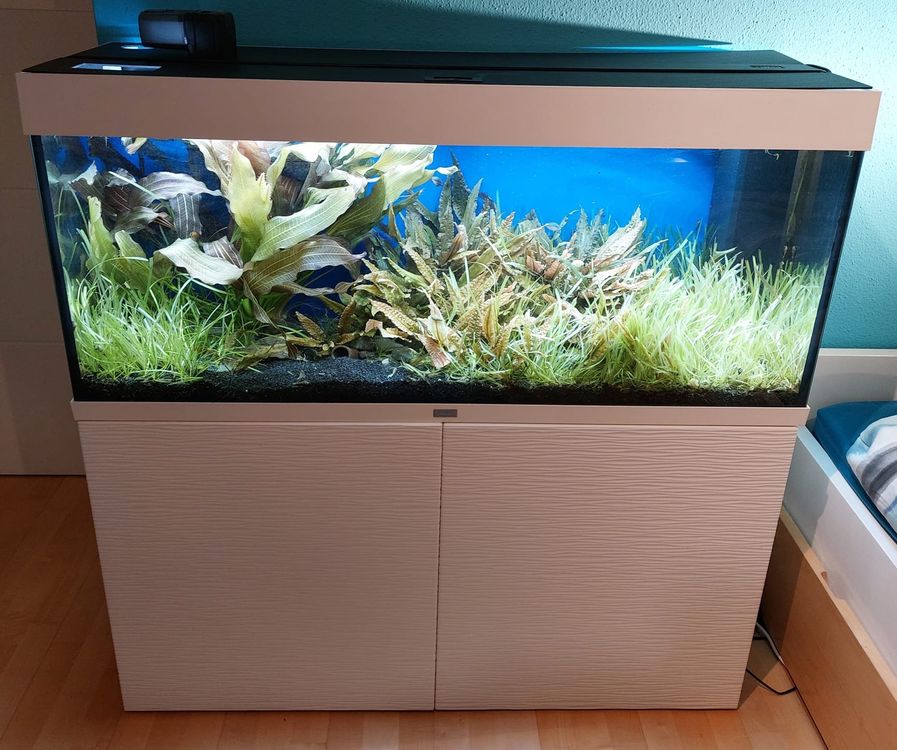 Juwel Aquarium 240L mit Unterschrank und Zubehör, gebraucht Kaufen