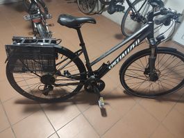 specialized woman crossbikes shinamo