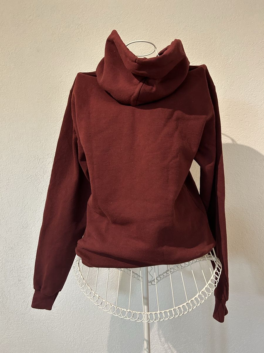 Champion Maglioni & Felpe: Champion Hoodie – Usato da Schmitten FR venduto da let_k9yc 1