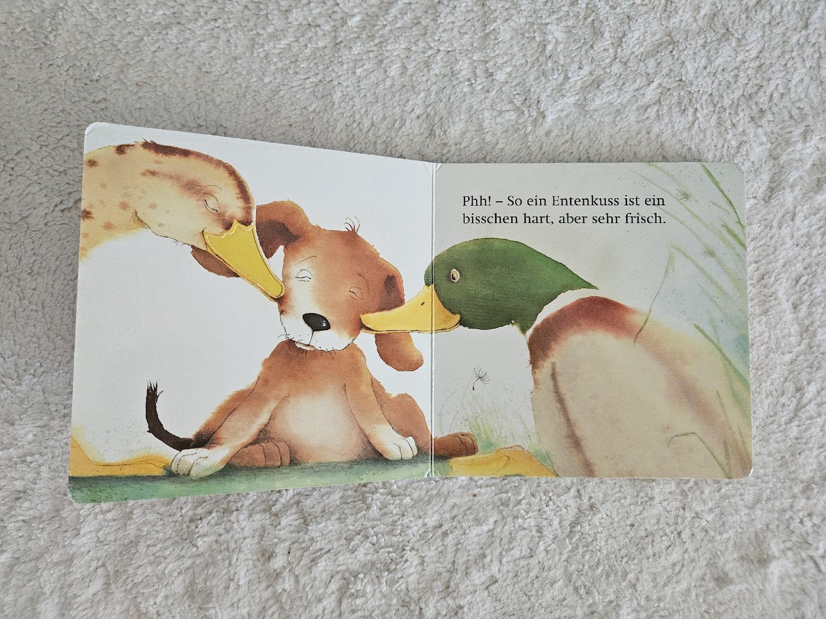 Libri: Baby Fühlbuch "Noch ein Kuss" – Usato da Zürich venduto da Kris8050 3