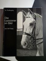 Die Lipizzaner im Bild - A. Podhajsky - Pferde Buch NSB 1969
