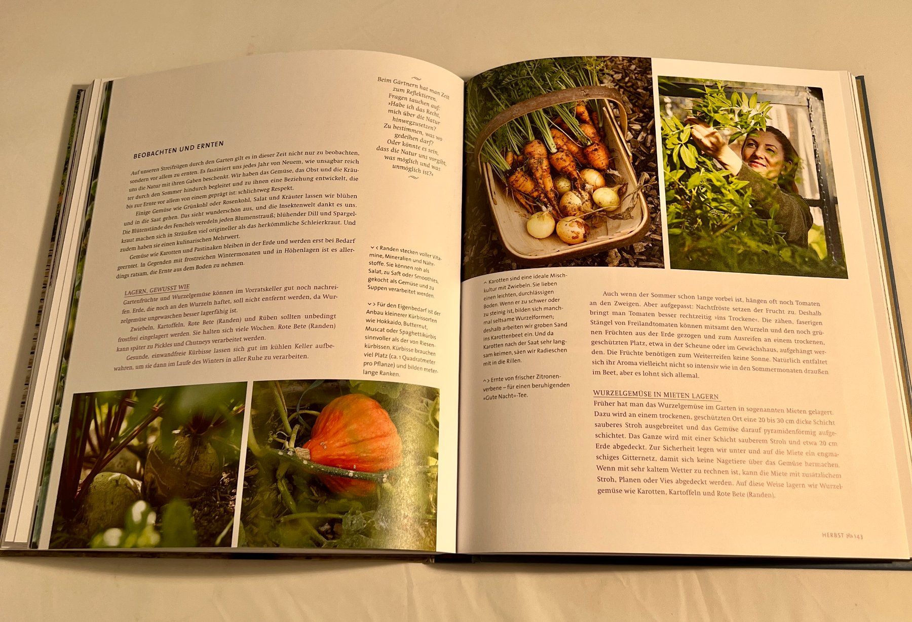 Libri: The Lazy Gardener, Gartenratgeber, Buch – Usato da Zürich venduto da Drahtzug 4
