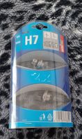 Halogenlampe H7, 12V 55W
