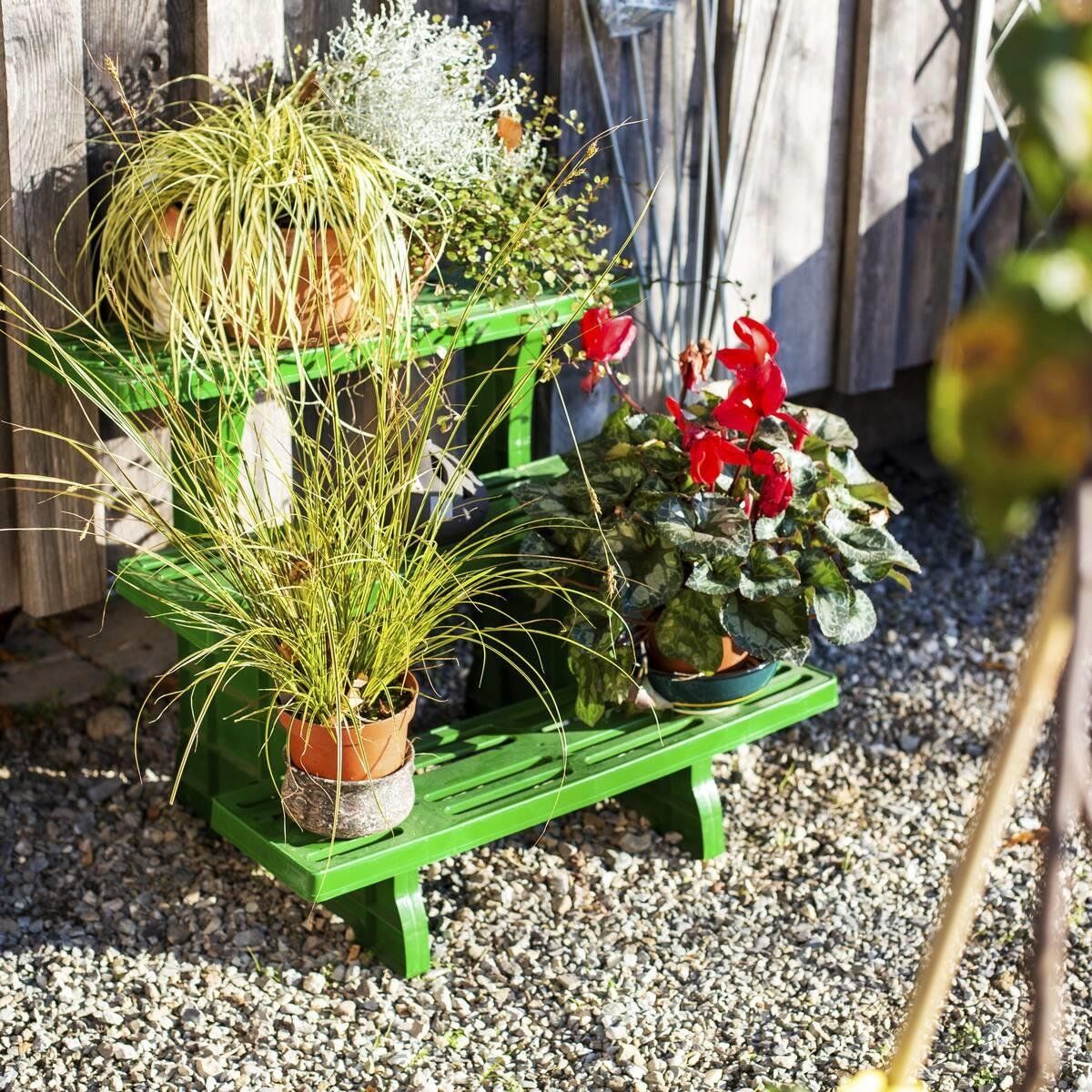 Sonstige Dekorationen & Accessoires: Pflanzenbank 3 stufig ideal für Blumen & Kräuter – Neu und originalverpackt aus Koppigen von Bracher_Mail-House