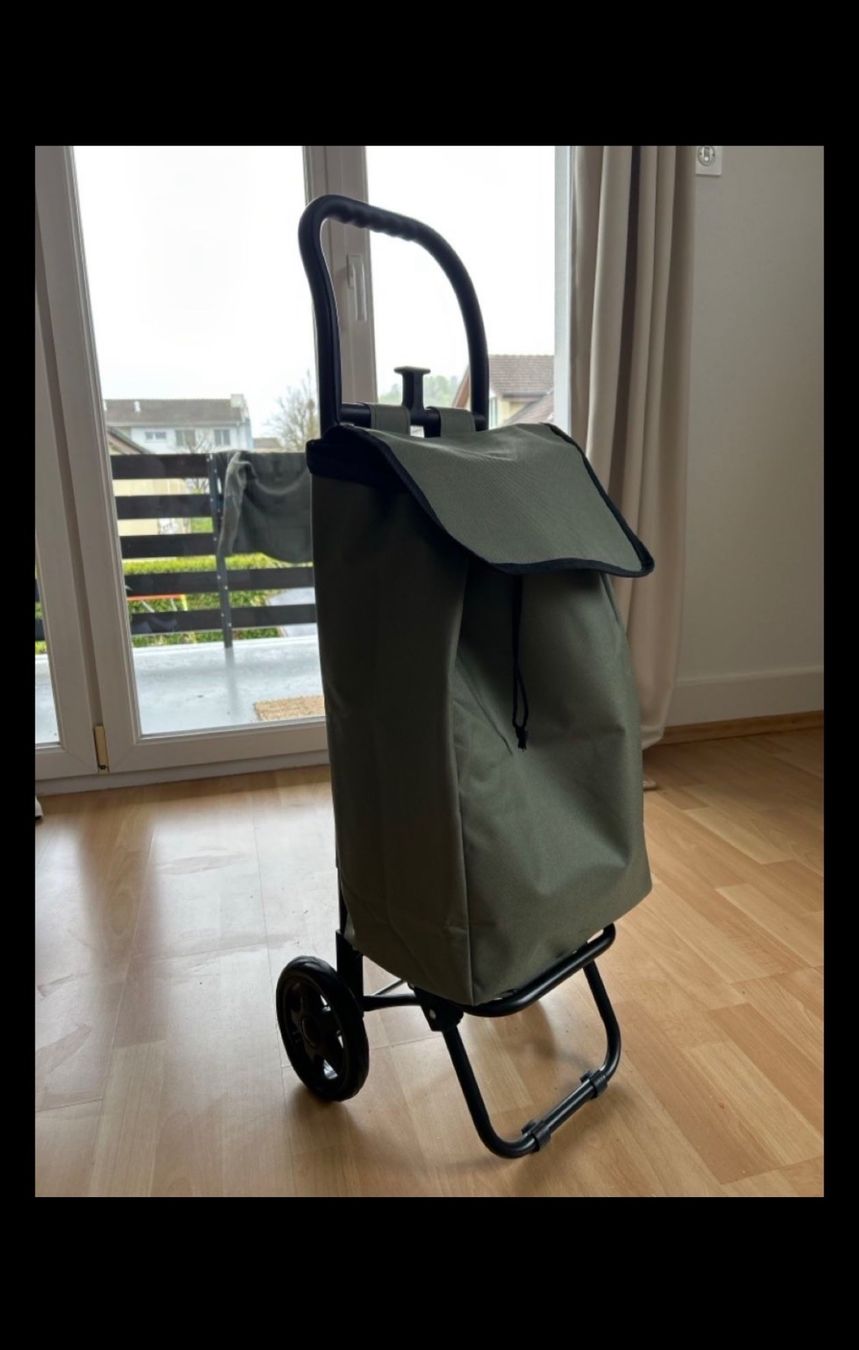 Altro per la casa: Neuwertiger Einkaufstrolley/Einkaufswagen – Usato da Luzern venduto da DavGer
