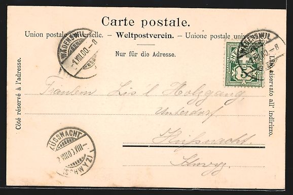 Cartoline postali: Wädensweil, Obst- u. Weinbauschule, Hot – Usato da Berlin venduto da bartko-reher 1