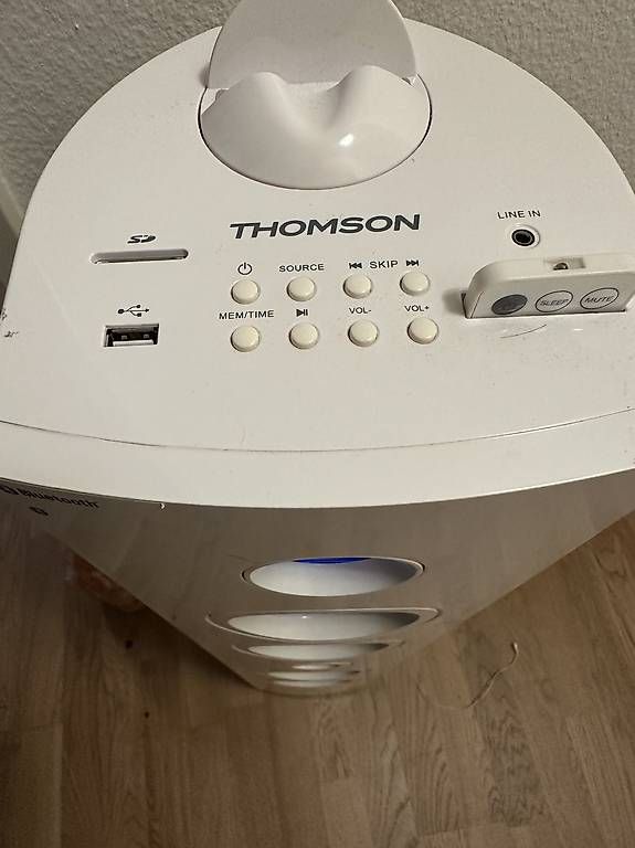 Casse acustiche: Thomson Bluetooth Tower Speaker DS401 – Usato da Abtwil SG venduto da Riono-01 4