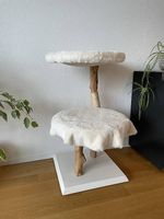 Arbre à chat 