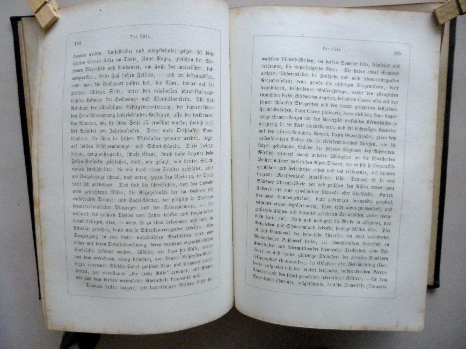 Libri: BERLEPSCH H.A. - Die ALPEN - 1861 - Illustriert – Usato da Uster venduto da schepus23 7