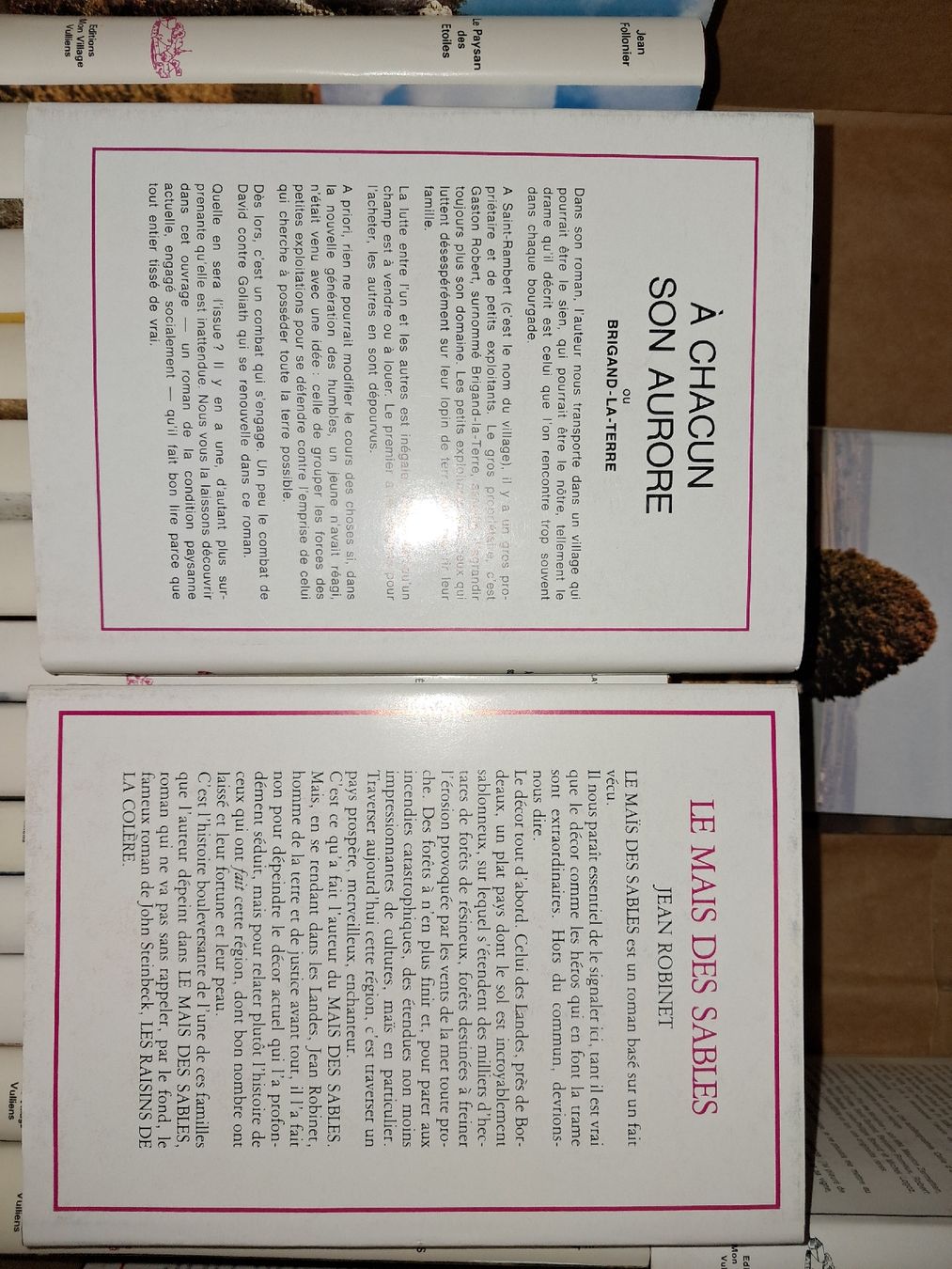 Bücher: Lot de 2 livres de Jean Robinet – Gebraucht aus Le locle von juliensaran 3